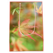 秋の華細工ギフトバッグ ミディアムペーパーバッグ (裏面)