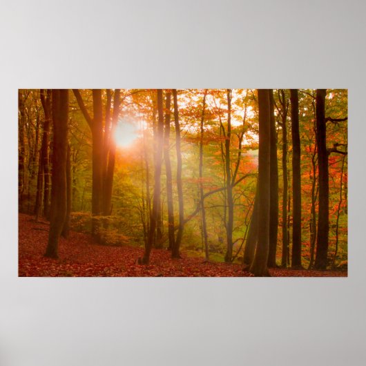 秋の華 ポスター (正面)