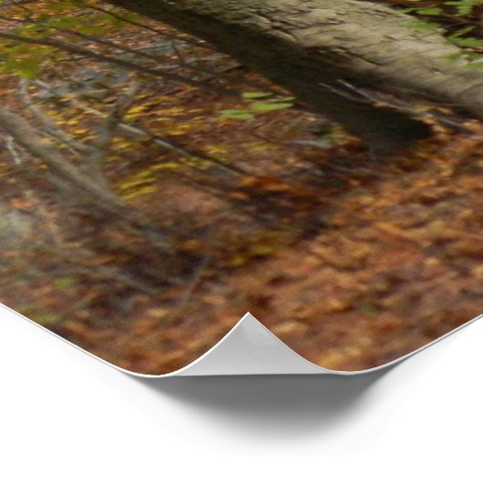 秋の華 ポスター (角)