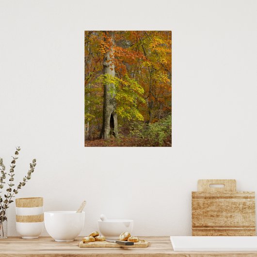 秋の華 ポスター (キッチン)