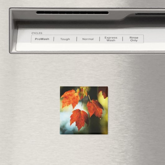 秋の華 マグネット (インサイチュ (食洗機))