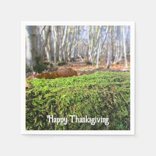 秋の落ちた苔の木 – 感謝祭カスタム祭 スタンダードカクテルナプキン (正面)