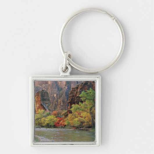 秋の葉がヴァージン川沿いの門口近くにある キーホルダー (正面)