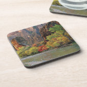 秋の葉がヴァージン川沿いの門口近くにある コースター (左側)