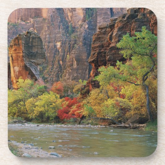 秋の葉がヴァージン川沿いの門口近くにある コースター (正面)