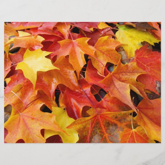 秋の葉っぱ スクラップブッキングペーパー 紅葉 (正面)