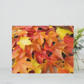秋の葉っぱ スクラップブッキングペーパー 紅葉 (スタンド正面)