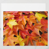 秋の葉っぱ スクラップブッキングペーパー 紅葉 (正面/裏面)