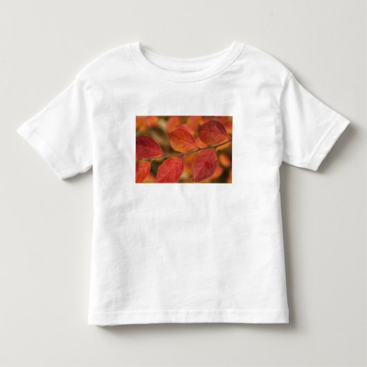 秋の葉で覆われた小枝 トドラーTシャツ (正面)