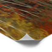 秋の葉と樺の木の反射；ヒアワタ ポスター (角)