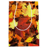 秋の葉と秋の色 ミディアムペーパーバッグ (正面)