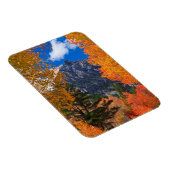 秋の葉に囲まれた山, CA マグネット (右側)