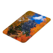 秋の葉に囲まれた山, CA マグネット (左側)