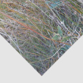 秋の葉のティッシュペーパー 薄葉紙 (詳細)