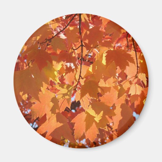 秋の葉のマグネット 紅葉 オレンジの木の葉 マグネット (正面)
