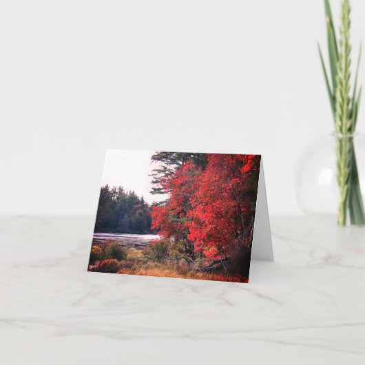 秋の葉の池のカスタマイズ可能なノートカード カード (正面)
