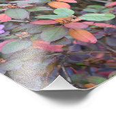 秋の葉の紅葉自然ツリー写真 フォトプリント            (角)