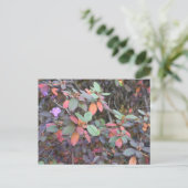 秋の葉の紅葉自然ツリー写真 ポストカード (スタンド正面)