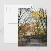 秋の葉の紅葉自然ツリー写真 ポストカード (正面/裏面)