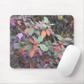 秋の葉の紅葉自然ツリー写真 マウスパッド (マウス)