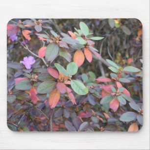 秋の葉の紅葉自然ツリー写真 マウスパッド