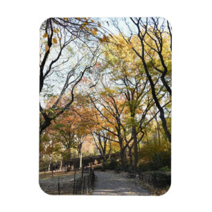 秋の葉の紅葉自然ツリー写真 マグネット