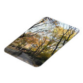 秋の葉の紅葉自然ツリー写真 マグネット (左側)