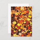 秋の葉グリーティングカード サンキューカード (正面/裏面)