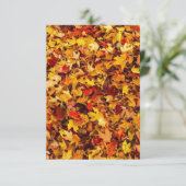 秋の葉グリーティングカード サンキューカード (スタンド正面)