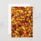 秋の葉グリーティングカード サンキューカード (正面/裏面)