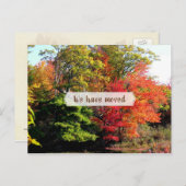 秋の葉シーズンの新しい住所はがき ポストカード (正面/裏面)