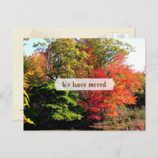 秋の葉シーズンの新しい住所はがき ポストカード (正面/裏面)