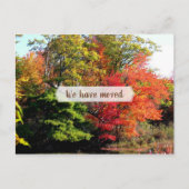 秋の葉シーズンの新しい住所はがき ポストカード (正面)