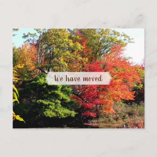 秋の葉シーズンの新しい住所はがき ポストカード (正面)