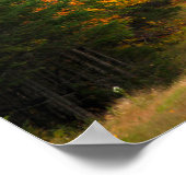 秋の葉ニューイングランド ポスター (角)