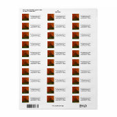 秋の葉フォト差出人住所ラベルシール ラベル (フルシート)