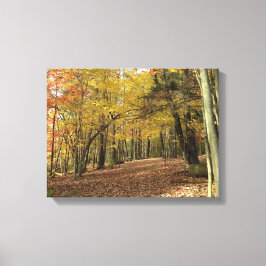 秋の葉写真穏やかな秋の森 キャンバスプリント