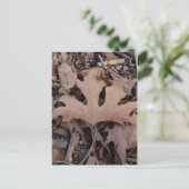 秋の葉書 ポストカード (スタンド正面)