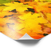 秋の葉秋色もみじ フォトプリント            (角)
