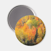 秋の葉谷 マグネット (正面/裏面)