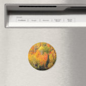 秋の葉谷 マグネット (インサイチュ (食洗機))