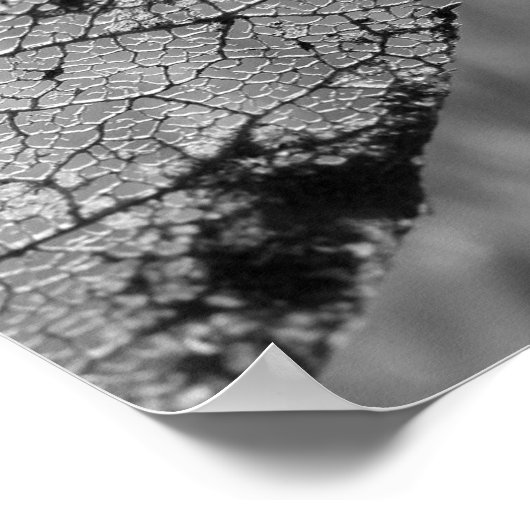 秋の葉2 - B&W ポスター (角)