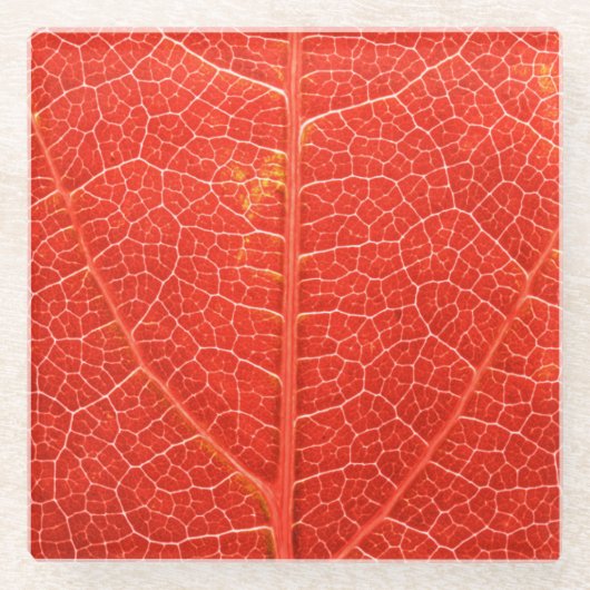 秋の葉 ガラスコースター (正面)