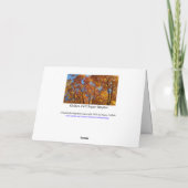 秋の葉/ゴールデンイエロー/ハッピー秋オール カード (裏面)