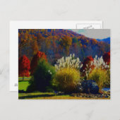 秋の葉 ポストカード (正面/裏面)