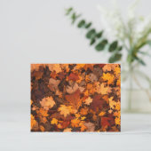 秋の葉 ポストカード (スタンド正面)