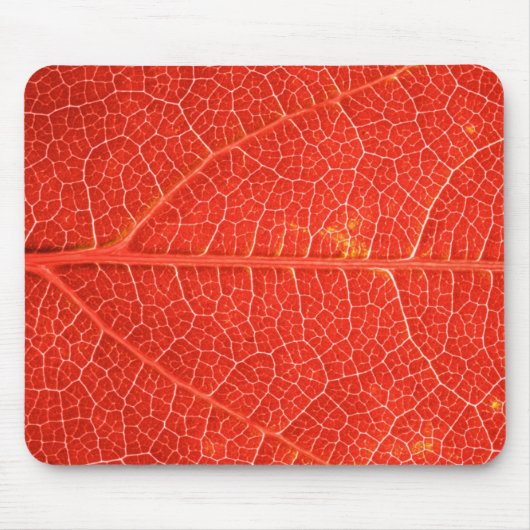 秋の葉 マウスパッド (正面)