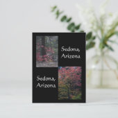 秋の葉，開花,セドナアリゾナ ポストカード (スタンド正面)