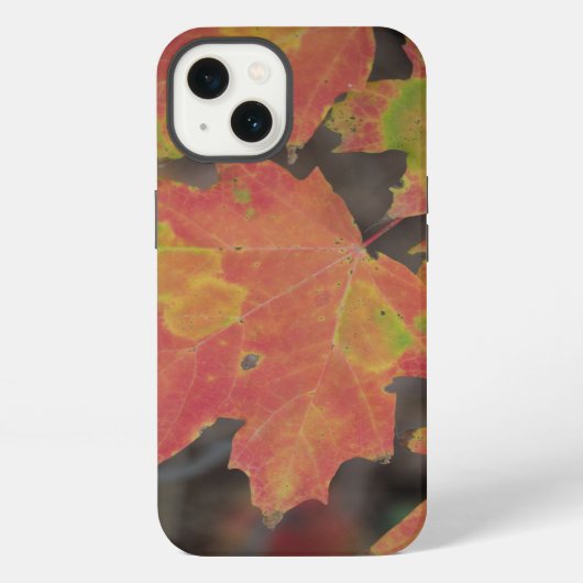 秋の葉 iPhoneケース (裏面)