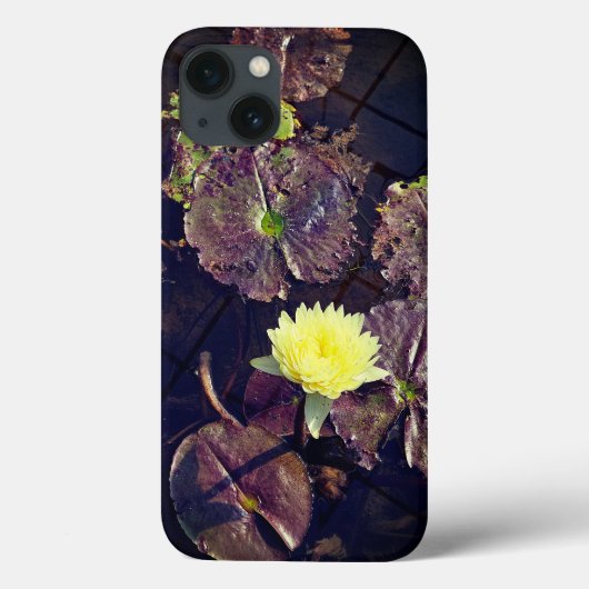 秋の蓮の花iPhone / iPadケース Case-Mate iPhoneケース (裏面)
